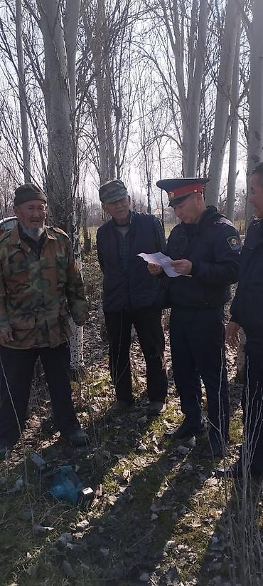 Баран, овца: Продаю | Овца (самка) | Меринос | Для разведения | Матка — 10