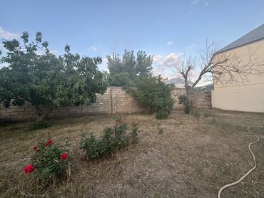 Həyət evləri və villaların satışı: Savalan 2 otaqlı, 40 kv. m, Kredit yoxdur, Yeni təmirli -da lalafo.az — 18 Həyət evləri və villaların satışı: Savalan 2 otaqlı, 40 kv. m, Kredit yoxdur, Yeni təmirli — 18