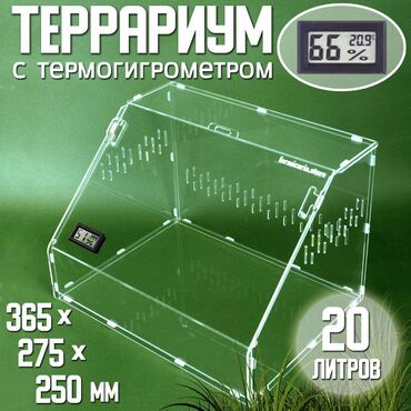 живой паук: Террариум RoomBox Maxi с встроенным измерителем влажности и