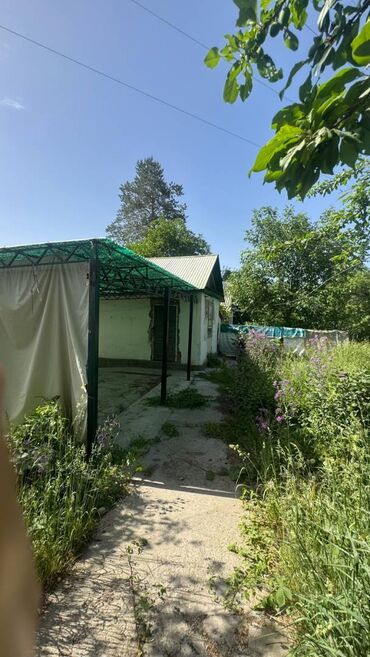 Продажа квартир: 5 соток, Красная книга