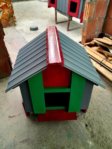 en gozel gul sekilleri: Balaca it pişiklər üçün su keçirməyən davamlı domikdir, sifarişlədə