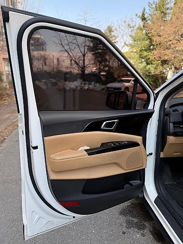 Kia: Kia Carnival: 2020 г., 2.2 л, Автомат, Дизель, Минивэн — 11