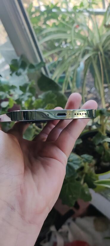 Apple iPhone: Apple iPhone iPhone 13 Pro, Alpine Green, Face ID — 16