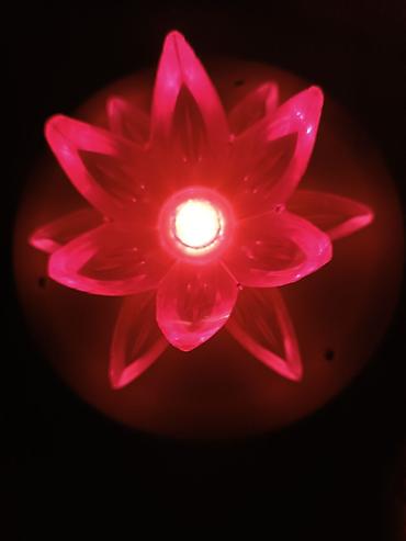 лампы led: Ночник Лилия 
Производство СССР 
Рабочий! 
Все на фото! — 6