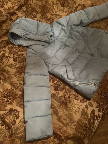 zhenskie rubashki s koshkami: Женская куртка цвет - Голубой