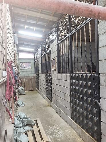 Продажа домов: Дом, 160 м², 4 комнаты, Евроремонт — 17