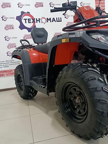 Квадроциклы: Квадроцикл Бензин, 500 куб. см, Взрослый — 7