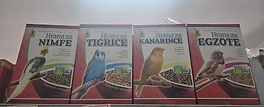 mačka prodaja: Kinlys Primus i Benelux/Pany Pets – hrana i oprema za male životinje i — 3