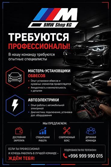 автоэлектрика: Требуется Автоэлектрик, Оплата: Ежедневно, Еженедельно, Оклад, Без опыта, Официальное трудоустройство — 1