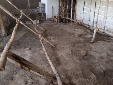 Продажа домов: Времянка, 53 м², 3 комнаты, Собственник — 14