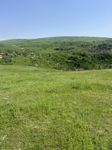 Torpaq sahələrinin satışı: 6 sot, Tikinti, Makler, Kupça (Çıxarış) — 2