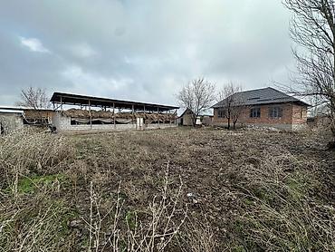 Продажа коттеджей и домов: Трёхкомнатная времянка и новый дом четыре комнатные плюс сарай 20/6 — 17