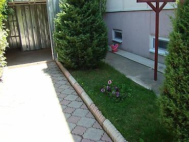 Иссык-Куль 2026: Номер, ХАН ЦО Золотые пески, Бостери, Детская площадка, Парковка, стоянка, Баскетбольная площадка — 24