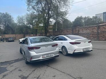 corolla runx: Аренда автомобилей бизнес- и комфорт-класса для города и поездок. В