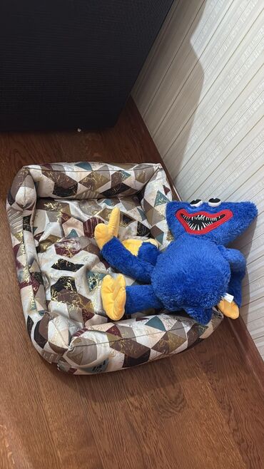 İtlər: Şpitz — 12