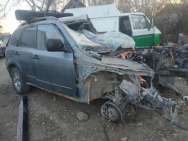 полки в аренду: Боковые зеркала От Субару Форостер, Задний лабовой стекло крышка — 9