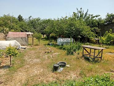 qusarda yer satilir: 6 sot, Tikinti, Makler, Kupça (Çıxarış) — 3