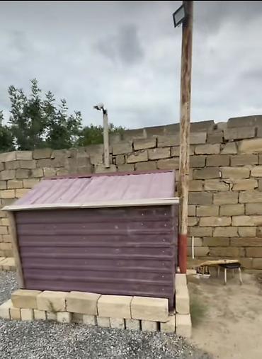 beca xoruz: Satılır: Hündür damlı quşxana/kümes - Material: metal profilli karkas — 1