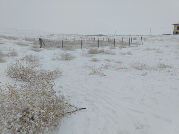 Продажа участков: 750000 соток, Для строительства, Красная книга — 9