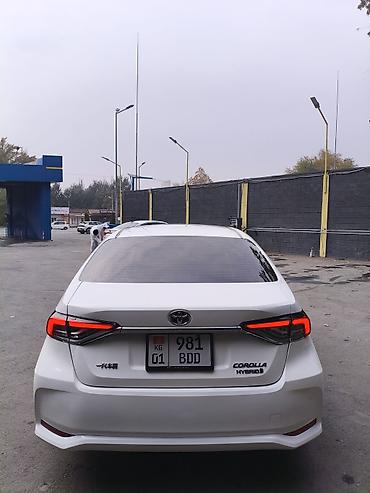 honda corolla: Toyota Corolla: 2019 г., 1.8 л, Вариатор, Гибрид, Седан — 3