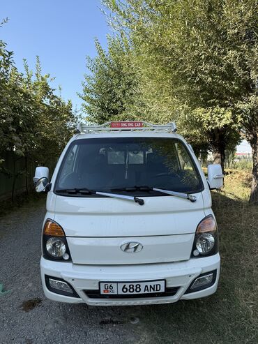 уплотнитель капота: Жеңил жүк ташуучу унаа, Hyundai, Дубль, Колдонулган