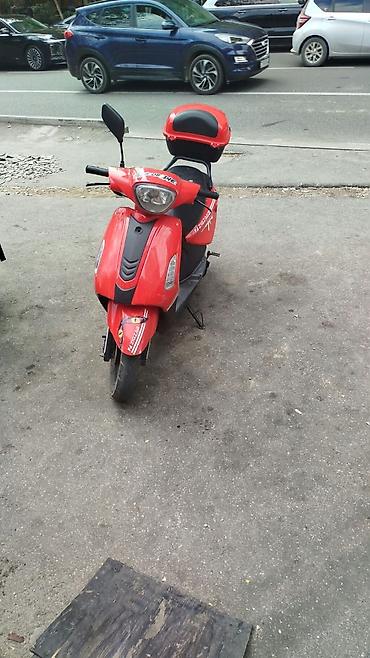 2 el motor fiyatları: Zaza - 295, 50 sm3, 2024 il, 79285 km — 3