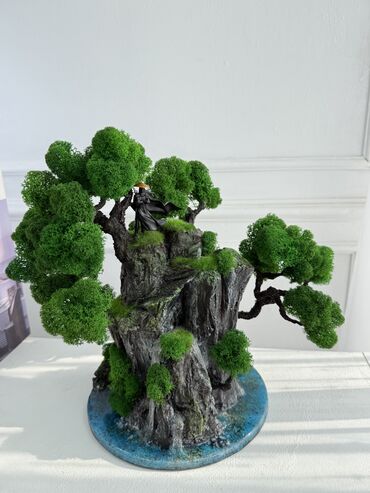 Декоративные цветы: В переводе с японского Бонсай означает «дерево, выращенное в блюде» at lalafo.kg — 44 Декоративные цветы: В переводе с японского Бонсай означает «дерево, выращенное в блюде» — 44