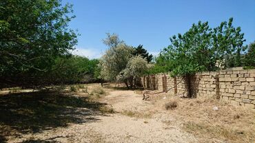 Torpaq sahələrinin satışı: 25 sot, Tikinti, Makler, Kupça (Çıxarış) -da lalafo.az — 4 Torpaq sahələrinin satışı: 25 sot, Tikinti, Makler, Kupça (Çıxarış) — 4