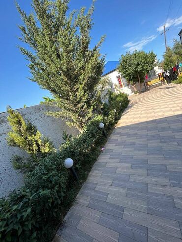 Bağ evlərinin satışı: Bakı, Buzovna, 170 kv. m, 4 otaqlı, Hovuzsuz, Artezian quyusu, Kanalizasiya, Kombi -da lalafo.az — 6 Bağ evlərinin satışı: Bakı, Buzovna, 170 kv. m, 4 otaqlı, Hovuzsuz, Artezian quyusu, Kanalizasiya, Kombi — 6