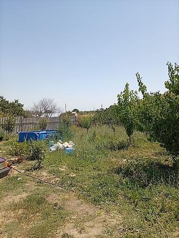 Продажа домов: Времянка, 50 м², 1 комната, Собственник, Старый ремонт — 6