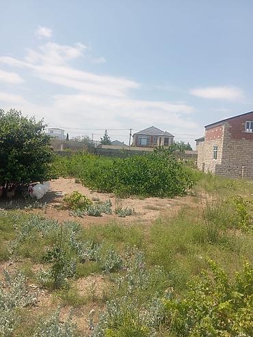 nardaranda torpaq: 13 sot, Tikinti, Mülkiyyətçi, Kupça (Çıxarış) — 2
