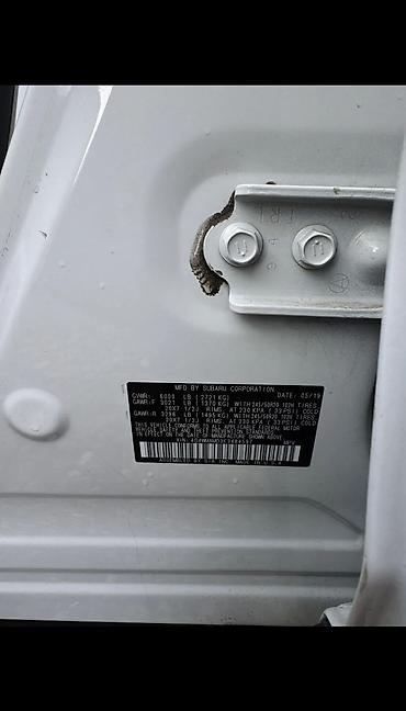 Subaru: Subaru Ascent: 2019 г., 2.4 л, Вариатор, Бензин, Внедорожник — 8