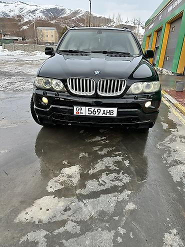 BMW: BMW X5: 2004 г., 4.8 л, Автомат, Бензин, Кроссовер — 9