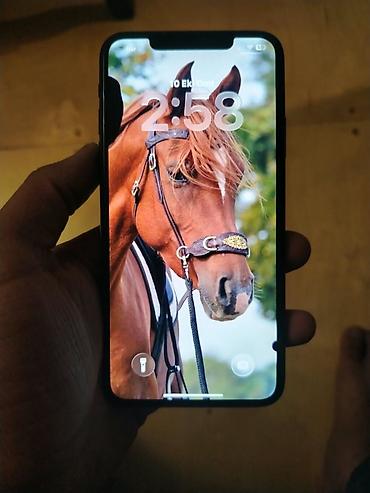 15.6 ekran: IPhone 11 Pro Max, Matte Midnight Green — 1
