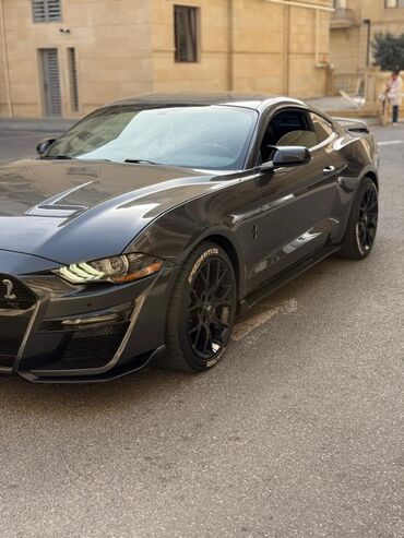 kotan 3 korpus: Ford Mustang: 2.3 l | 2019 il 55000 km Kupe