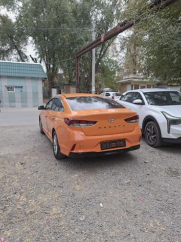 anda seat: Hyundai Sonata: 2020 г., 0.2 л, Автомат, Газ, Седан — 4