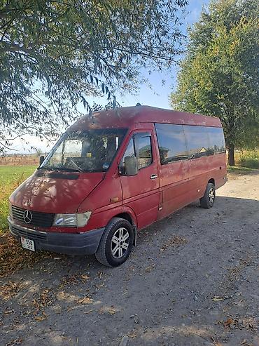 lync co: Mercedes-Benz M-class AMG: 2000 г., 2.9 л, Механика, Дизель, Бус — 5