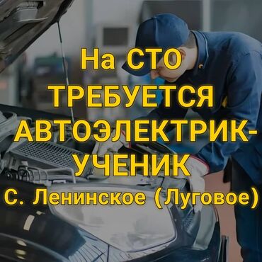 работа рядом с домом: Требуется Автоэлектрик, Оплата Ежедневно, Процент от дохода, Без опыта