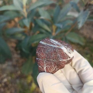 Qiymətli daşlar: Təbii Jasper daşı Satılır 💎 - Material: təbii jasper (yarıqiymətli — 11