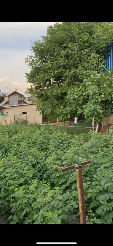 ак ордо квартир: 5 соток, Курулуш, Кызыл китеп