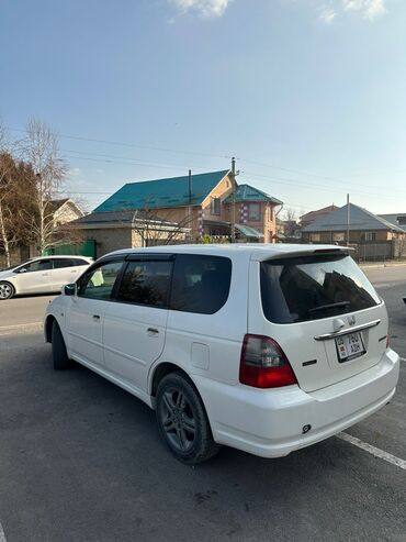 мини гелик: Honda Odyssey: 2003 г., 2.3 л, Автомат, Бензин, Минивэн