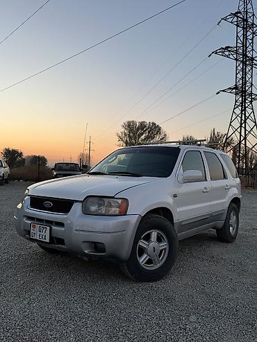 Ford Escape: 2003 г., 3 л, Автомат, Бензин, Кроссовер