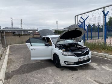 Skoda: Skoda Rapid: 2017 г., 1.6 л, Механика, Газ, Хэтчбэк