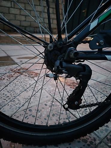 24 lik velosiped: Stels Pilot şəhər/komfort velosipedi 70 manata deyirem razılaşmaq olar — 4