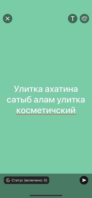 ди стор бишкек: Ахатина — косметическая улитка - Вид: гигантская африканская улитка