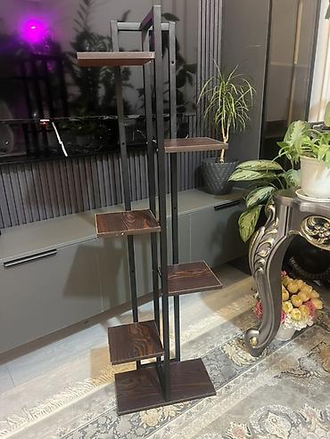 Фикусы: Фикус Бенджамина в напольных кашпо - Два взрослых деревца в отдельных — 30