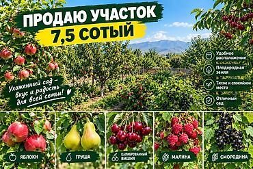 Продажа участков: 750 соток — 2