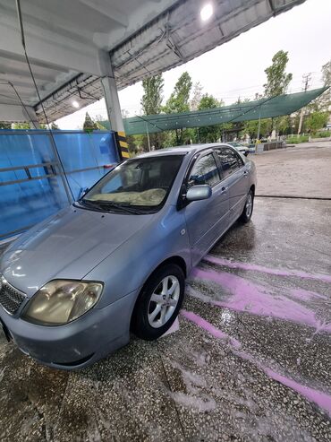 я ищу машина: Toyota Corolla: 2002 г., 1.6 л, Автоматические, Бензин