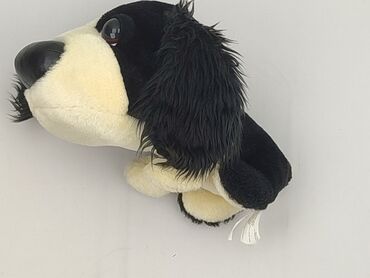 Mascot Dog, condition - Very good