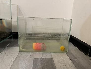 nere baligi: Dördbucaq akvarium, Boş, 60 l, Ünvandan götürmə — 2